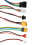 Controller per Scooter Elettrico 350W 36V Controller per Motore Bici Elettrica Controller per Tricicli Elettrici 3