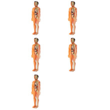 5X 3D Human Body Anatomy Model Children Plastic DIY Skeleton Toy Science Early Learning Aids Educational Toys