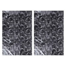 2X Hydrographic Film - Water Transfer Printing - Dipping - Rolling Bones - 1 Meter