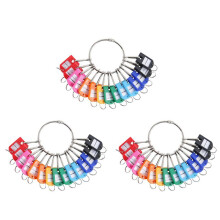 Portable Metal Ring Key Organizer with 60 Spring Hooks & Key Tags with Ring and Label Window
