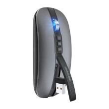 Souris Sans Fil  2,4 G pour Bureau, Tablette, Ordinateur Portable, Double Mode, Chargement USB, Souris pour Ordinateur Portable, Gris