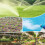 Single-Channel Zigbee  Watering Device, Automatic Irrigation Timer Waterproof Timing Irrigation Automatic Watering 4