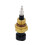 3690690 Car Water Temperature Sensor for Dongfeng Tianlong Car Accessories 2