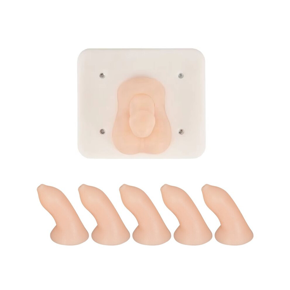Infant Circumcision Training Model, Student Teaching Surgery Circumcision Model for Surgical Practice