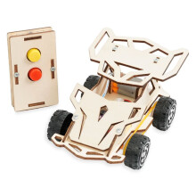 Kit di Esperimenti Scientifici di Assemblaggio DIY per Auto Telecomandata In Legno A Quattro Ruote Motrici da Corsa per Bambini, Educativi