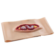 New Abdominal Anatomy Wound Training Model for Medical Teaching and Training, an Emergency Simulation Model Can Worn
