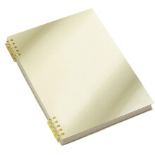 Quaderno Estetico Vintage B5 con Ricarica Sostituibile e A Spirale per Ufficio, Scuola e B