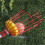 4M Fruit Picker Cage Shaped Fruit  Picking Peach Loquat Pear Fruit Tool Removable Fruit Picker for Farm Gardens Tool 2