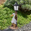 Pelican Solar Garden Statue with Lantern 3