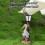 Pelican Solar Garden Statue with Lantern 5