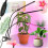 LED plantevekst lampe panel 3 pærer 1