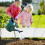 Clôture Jardin Plastique Bordure Réutilisable 3