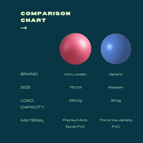 Anti-Burst Swiss Gym Ball with Pump 1