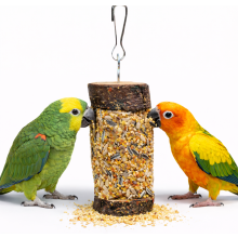 Jr Farm Pick'n'fun Parakeets & Parrots - Pyszności Do Zabawy I Chrupania Dla Wszystkich Papug 185G