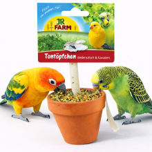 Jr Farm Gliniana Donica - Pyszna Przekąska Dla Wszystkich Mniejszych Papug 80 G