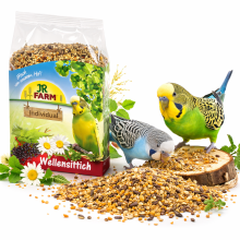 Jr Farm Individual - Pokarm Dedykowany Dla Papużek Falistych 4Kg