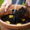 3pcs Root Waterer Adjustable Tree Root Irrigator Deep Drip Irrigation Stakes Root Irrigation Spike Gardening Tool 4