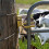 2pcs Heavy-Duty One-Hand Gate  for Farm, Ranch & Backyard Auto-Lock, Rust-Resistant Steel, Easy Install 5