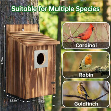 Bird Houses for Outside with Metal Guard for Bluebird Wren Swallow Finch, Carbonized Wooden Nesting Boxes