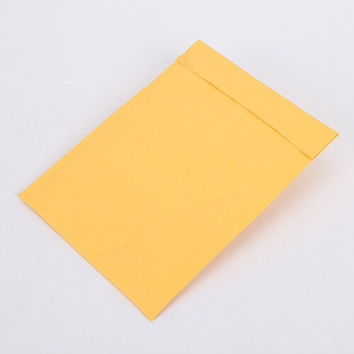 20Pièces Enveloppes Matelassées Lettres Gardées 2