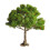 Mini Landscape Tree Decor for DIY Sand Tables 5.51x5.9 in 2