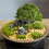Mini Landscape Tree Decor for DIY Sand Tables 5.51x5.9 in 5