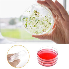 50 Pcs Sterile Petri Dishes Plastic Culture Dishes Petri Plate for Lab Analysis Science Experiment School Projects