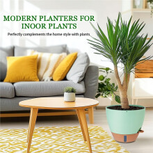 8/10/12 Inch Self Watering Pots for Indoor/Outdoor Plants - Large Plastic Planter with Drainage Holes, Water Level