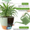 Vasos Autoirrigáveis de 8/10/12 Polegadas para Plantas de Interior/Exterior - Vaso  de Plástico com Furos de Drenagem e Indicador de Nível de 7