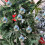 Clear Plastic Christmas Baubles 3.9 in 1 Pack 4