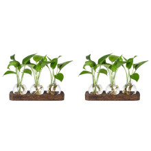 2X Plants Propagation Stations Glass Vase Station Retro Plant Terrarium with Wooden Tray Bulb Flower Vase