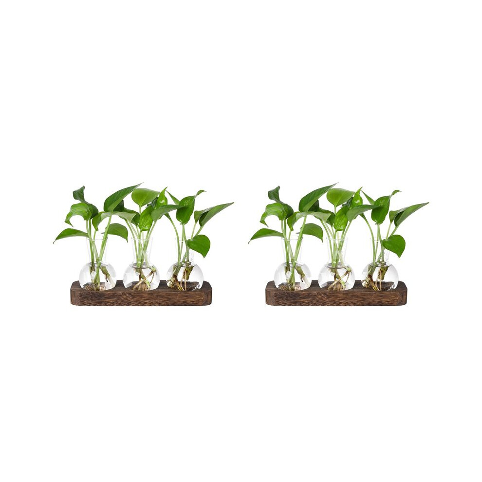 2X Plants Propagation Stations Glass Vase Station Retro Plant Terrarium With Wooden Tray Bulb Flower Vase 6032940096403