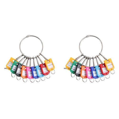 Portable Metal Ring Key Organizer with 20 Spring Hooks & Key Tags with Ring and Label Window
