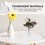 Heart Shaped Acrylic Flower Holder Decoration Set 3