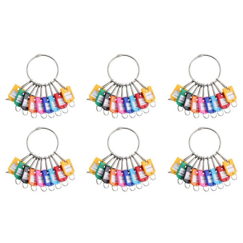 Portable Metal Ring Key Organizer with 60 Spring Hooks & Key Tags with Ring and Label Window