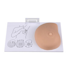 Teaching Breast Human Pathological Anatomy Breast Self Exam Model Irregular Masses Pathological Examination Model