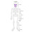 Glitter Skeleton Door Hanger – 26 Inch Poseable Skull 2