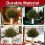Ramuri artificiale de pin Norfolk cu conuri, 10 buc. 3