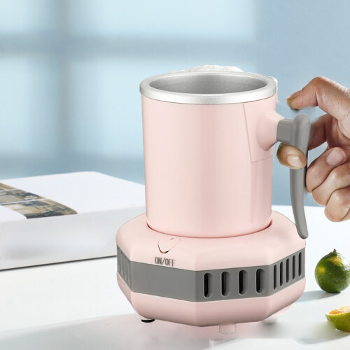 Portable Mini Refrigerator 110V 4L 1