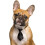 Cravate ajustable pour chiens et chats – 20 couleurs 5