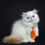 Cravate ajustable pour chiens et chats – 20 couleurs 3