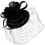 1 Sraith Hataí Fascinator do Mhná Maisithe le Dearadh Galánta do Pháirtithe Cóctaile 4