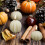 2 hvide græskarlys til Thanksgiving-dekoration 5