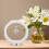 1Set 3D Floating Frame Shadow Box 12.8In Diameter for Home Decor in Plastic 3