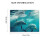 Εκτύπωση σε καμβά Patifu Two Dolphins HD, 20x16 ίντσες – Διακόσμηση τοίχου σπιτιού, 3