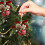 Metal Christmas Bells for Tree Decoration, Red, 14 cm 4