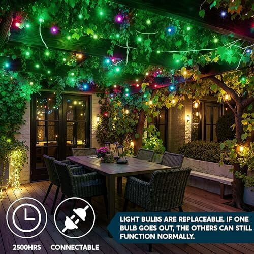 Warm White Christmas String Lights, 100 Bulbs, 21.4ft 1