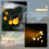 Luci decorative a stringa a LED OUNONA con globo, 6M40LED, 2 pezzi 7