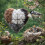 Handmade Iron Bird Nesting Heart with Refillable Natural 2