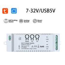 2CH Tuya WiFi Temporizador de Bricolaje 7-32V USB 5V 2.4G WiFi Smartlife MóDulo de AutomatizacióN del Hogar para Alexa Home IFTT